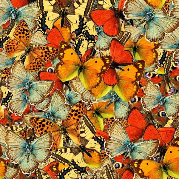 Grafika Butterflies Butterflies Butterflies! Jigsaw Puzzle (1000 Pieces)