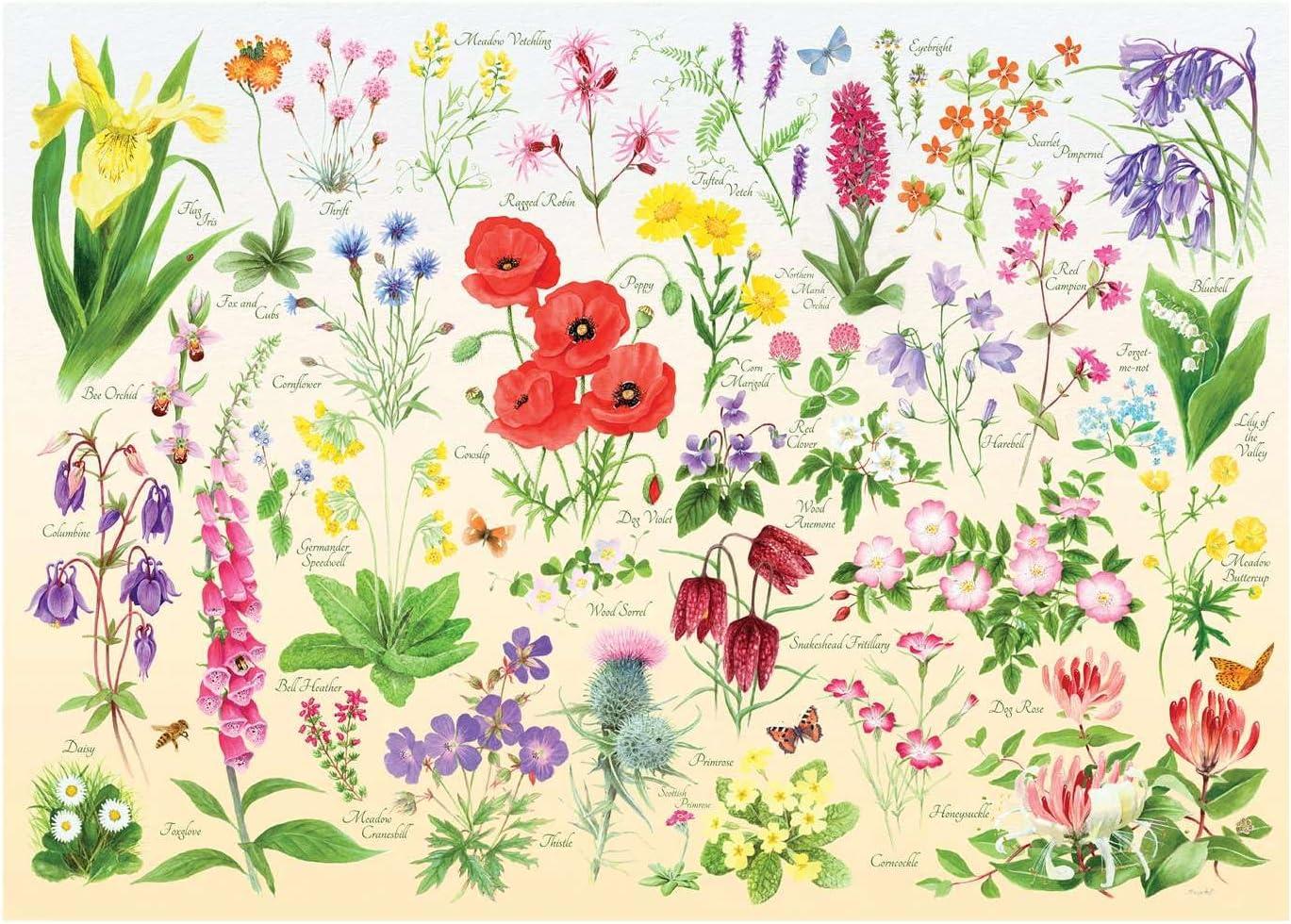 House of Puzzles Wildflowers Jigsaw Puzzle (1000 Pieces)