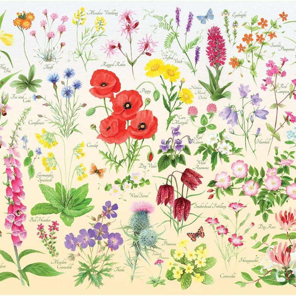 House of Puzzles Wildflowers Jigsaw Puzzle (1000 Pieces)