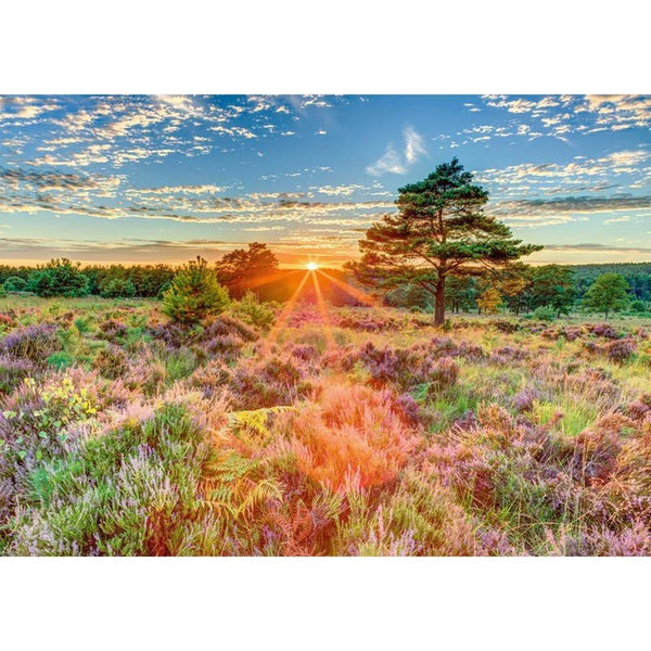 Schmidt Sunset on the Heath Jigsaw Puzzle (1000 Pieces)