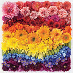 Galison Rainbow Flowers Jigsaw Puzzle (500 Pieces)