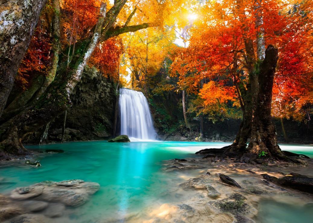 Grafika Deep Forest Waterfall Jigsaw Puzzle (500 Pieces)