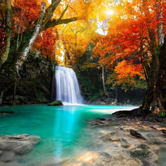 Grafika Deep Forest Waterfall Jigsaw Puzzle (500 Pieces)