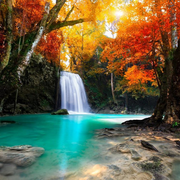 Grafika Deep Forest Waterfall Jigsaw Puzzle (500 Pieces)