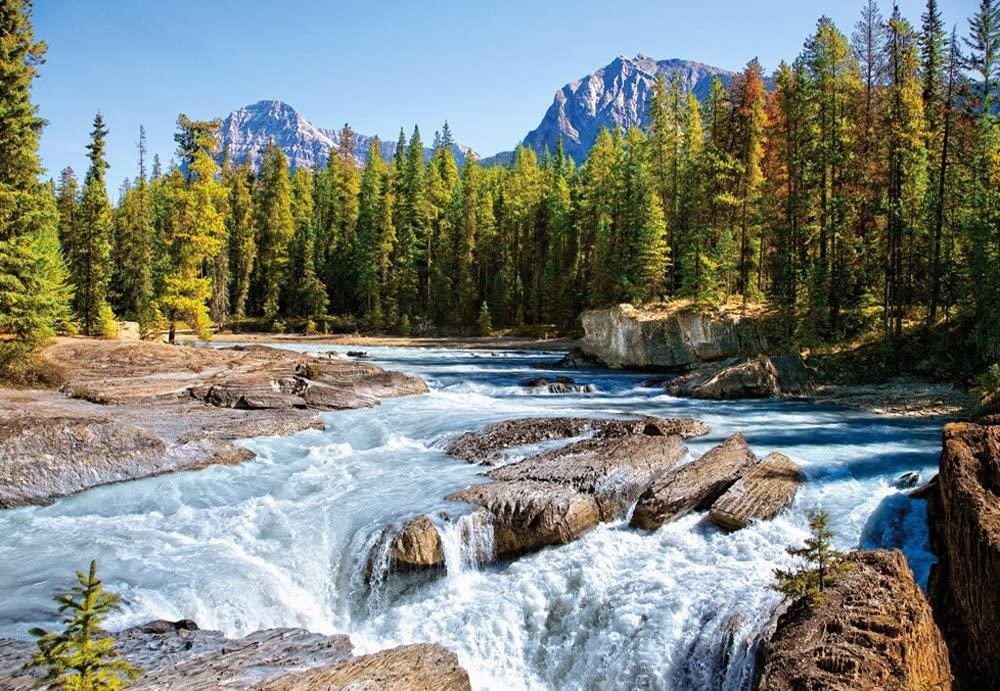 Castorland Athabasca River, Jasper National Park, Canada Jigsaw Puzzle (1500 Pieces)