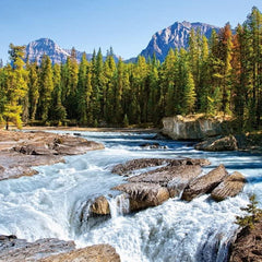 Castorland Athabasca River, Jasper National Park, Canada Jigsaw Puzzle (1500 Pieces)