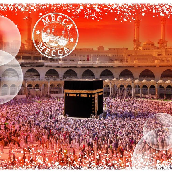 Grafika Travel around the World - Saudi Arabia Jigsaw Puzzle (1000 Pieces)