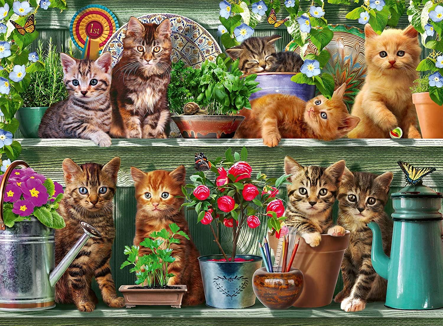 Ravensburger Cats on the Shelf Jigsaw Puzzle (500 Pieces)