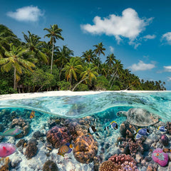 Ravensburger A Dive in the Maldives Jigsaw Puzzle (2000 Pieces)