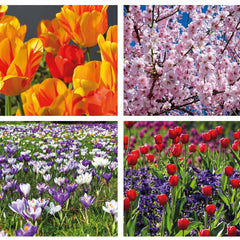 Flowers In Spring Jigsaw Puzzle (1000 Pieces)