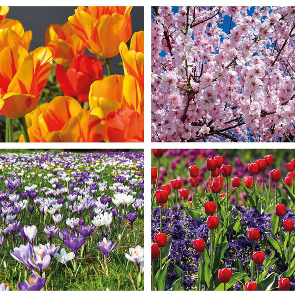 Flowers In Spring Jigsaw Puzzle (1000 Pieces)