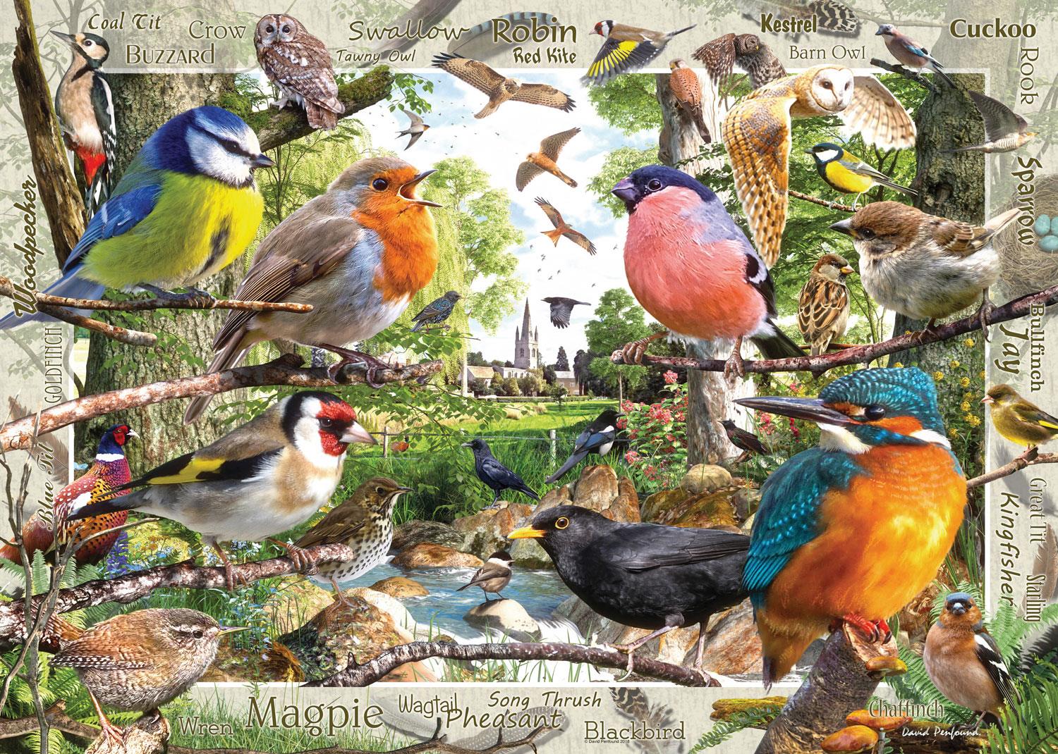 Ravensburger Our Feathered Friends Jigsaw Puzzle (1000 Pieces)