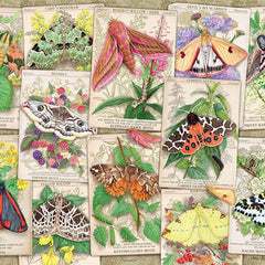 Ravensburger Marvellous Moths Jigsaw Puzzle (1000 Pieces)