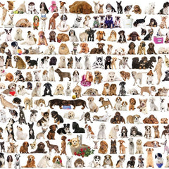 Eurographics World of Dogs Jigsaw Puzzle (1000 Pieces)