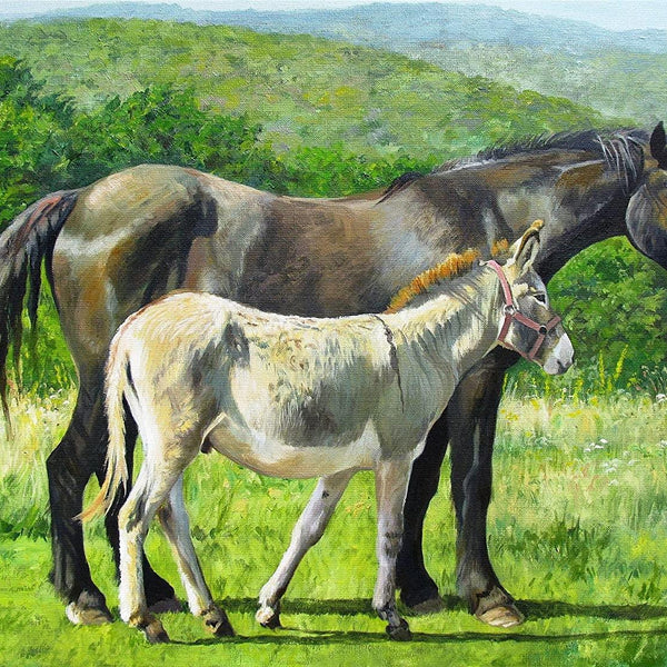 Stable Companion, Gill Erskine-Hill Jigsaw Puzzle (500 Pieces)