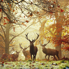 Heye Stags, Magic Forests  Jigsaw Puzzle (1000 Pieces)