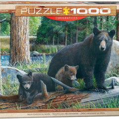 Eurographics New Discoveries Jigsaw Puzzle (1000 Pieces)