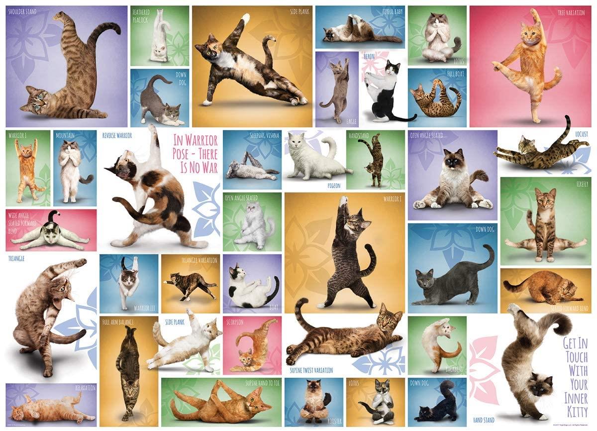 Eurographics Yoga Cats Jigsaw Puzzle (1000 Pieces)