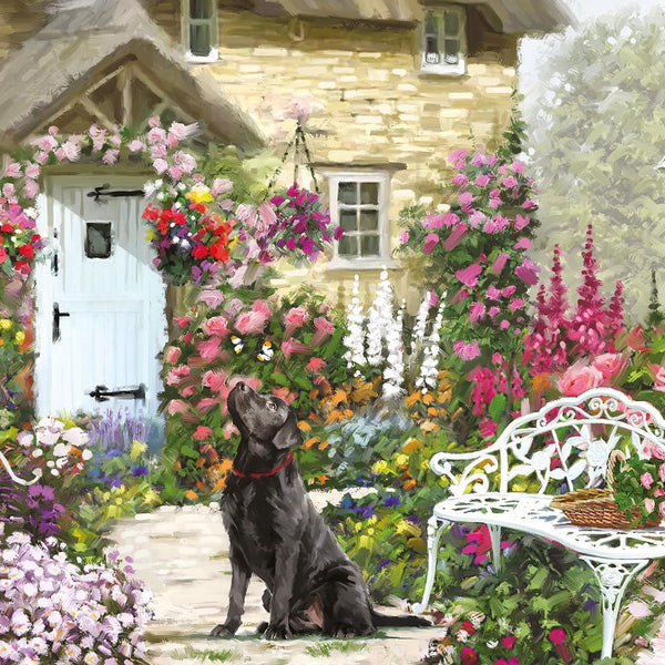 Otter House Cottage Garden Jigsaw Puzzle (500 XL Pieces)