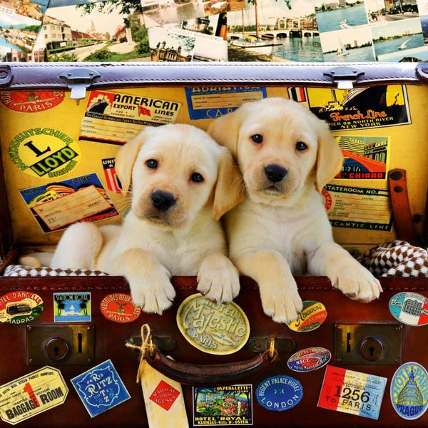 Bluebird Two Travel Puppies Jigsaw Puzzle (1000 Pieces)