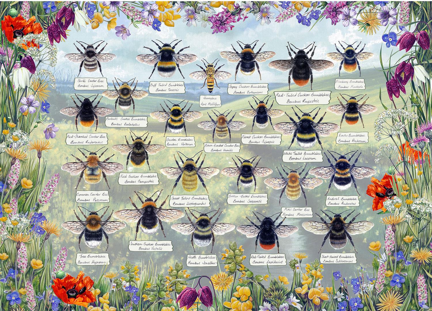 Gibsons Brilliant Bees Jigsaw Puzzle (1000 Pieces) – PDK