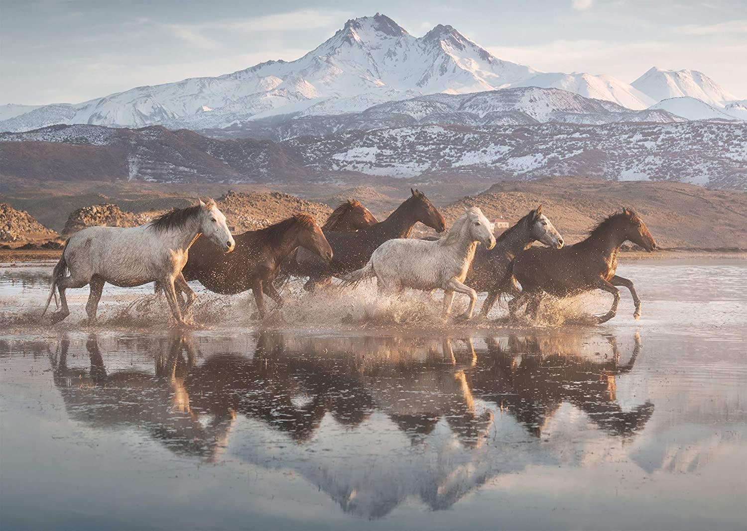 Schmidt Horses in Cappadocia Jigsaw Puzzle (1000 Pieces)