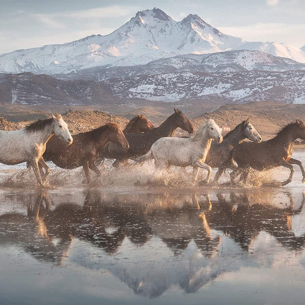 Schmidt Horses in Cappadocia Jigsaw Puzzle (1000 Pieces)