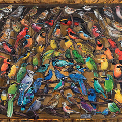 Ravensburger Rainbow of Birds Jigsaw Puzzle (1000 Pieces)