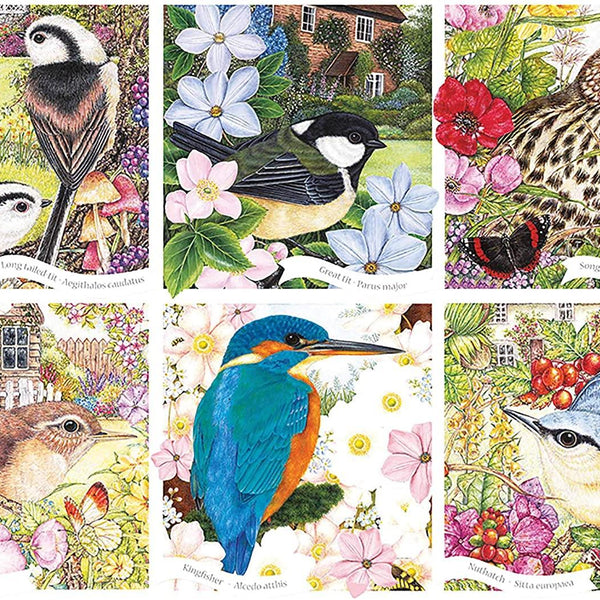 Otter House RSPB Garden Birds Jigsaw Puzzle (1000 Pieces)