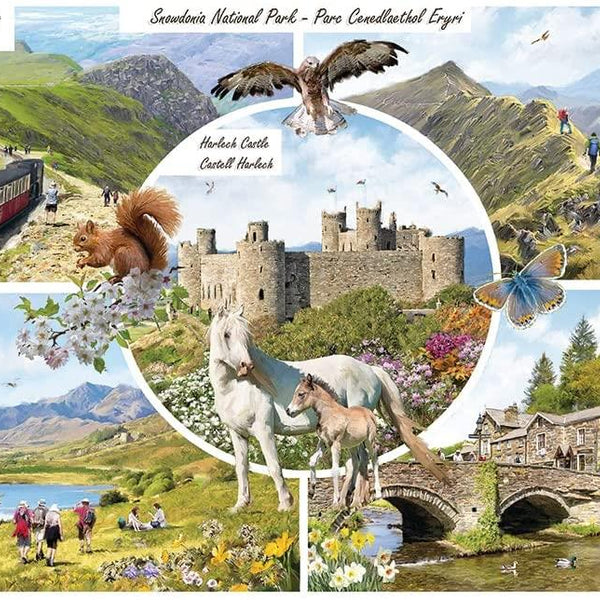 Otter House Snowdonia National Park Jigsaw Puzzle (1000 Pieces)