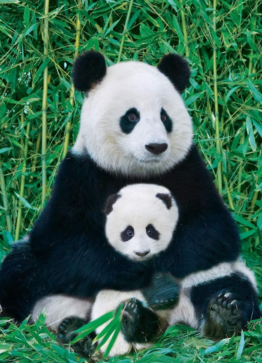 Eurographics Panda Bear & Baby Jigsaw Puzzle (1000 Pieces)