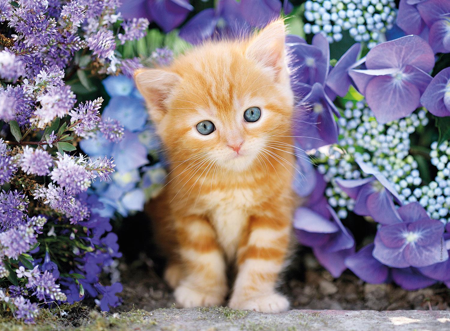 Clementoni Ginger Cat In Flowers High Quality Jigsaw Puzzle (500 Pieces)
