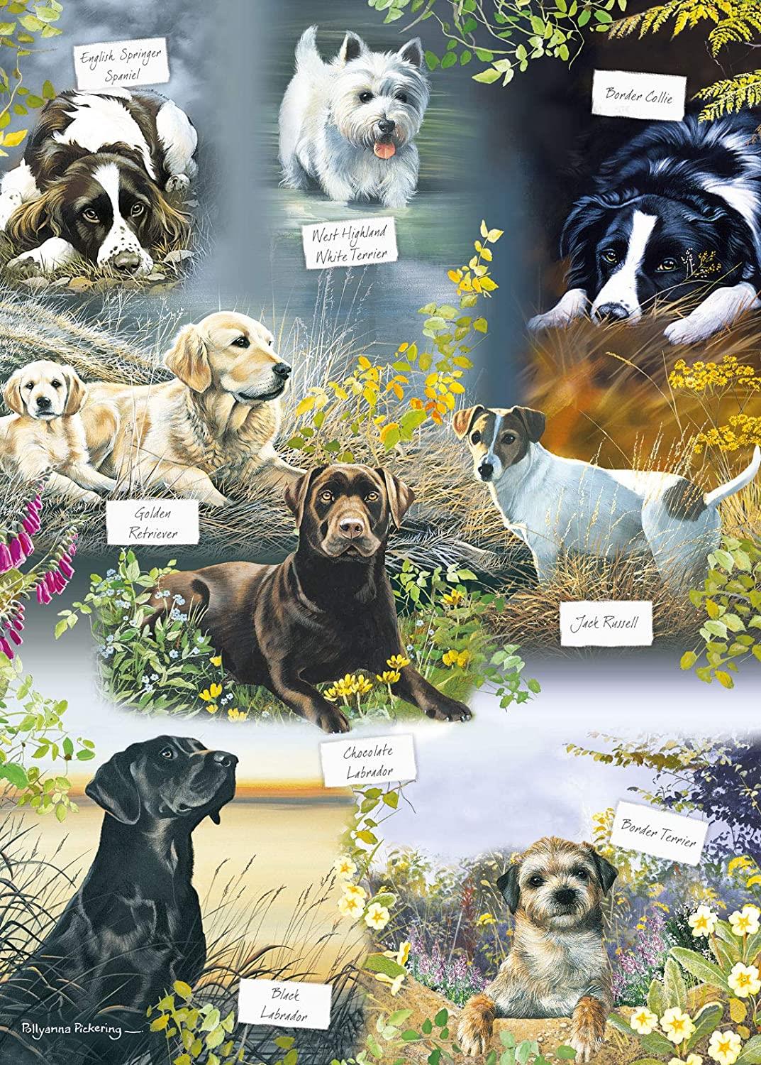 Otter House Man's Best Friend Jigsaw Puzzle (1000 Pieces)