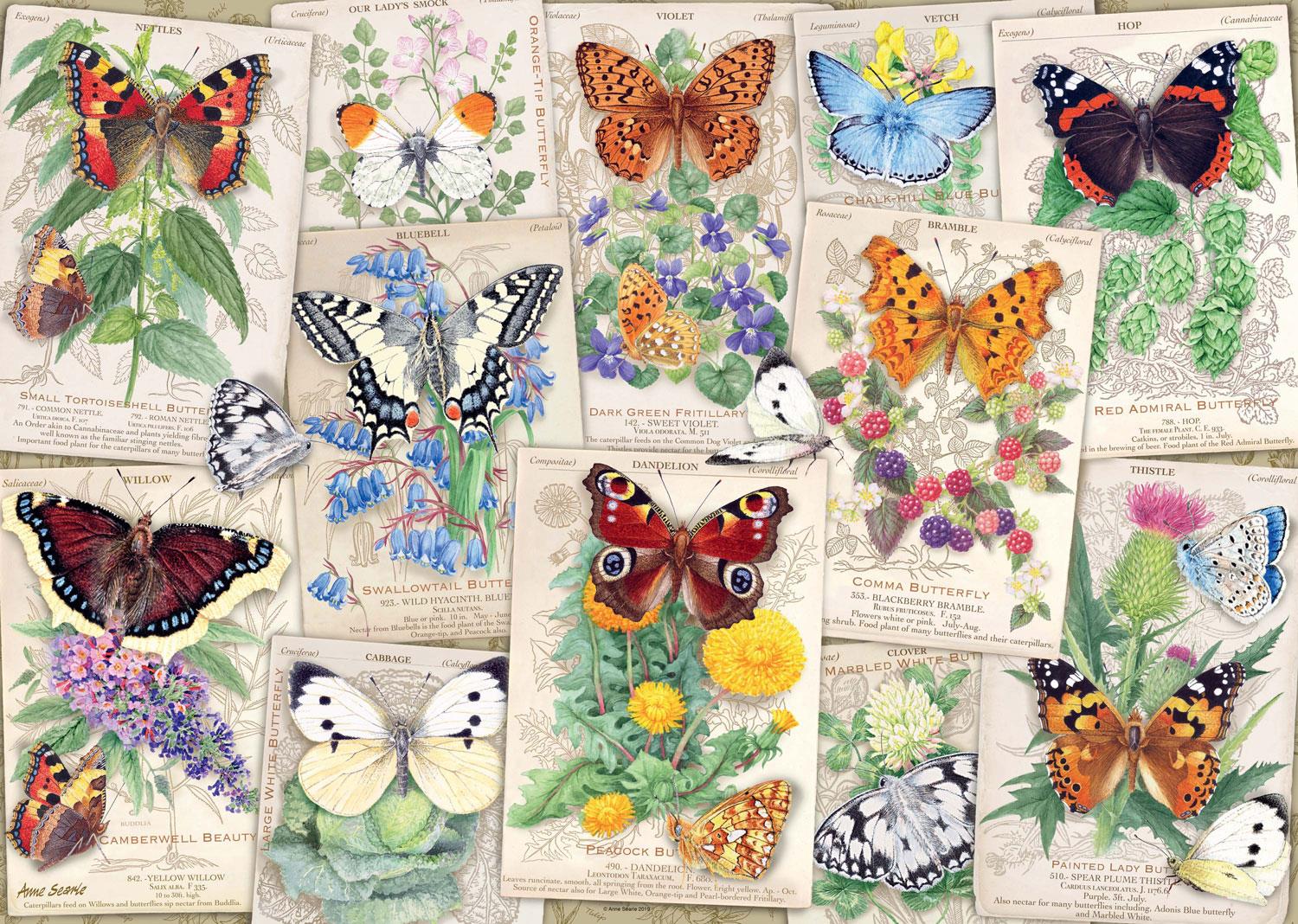 Ravensburger Butterfly Splendours Jigsaw Puzzle (1000 Pieces)