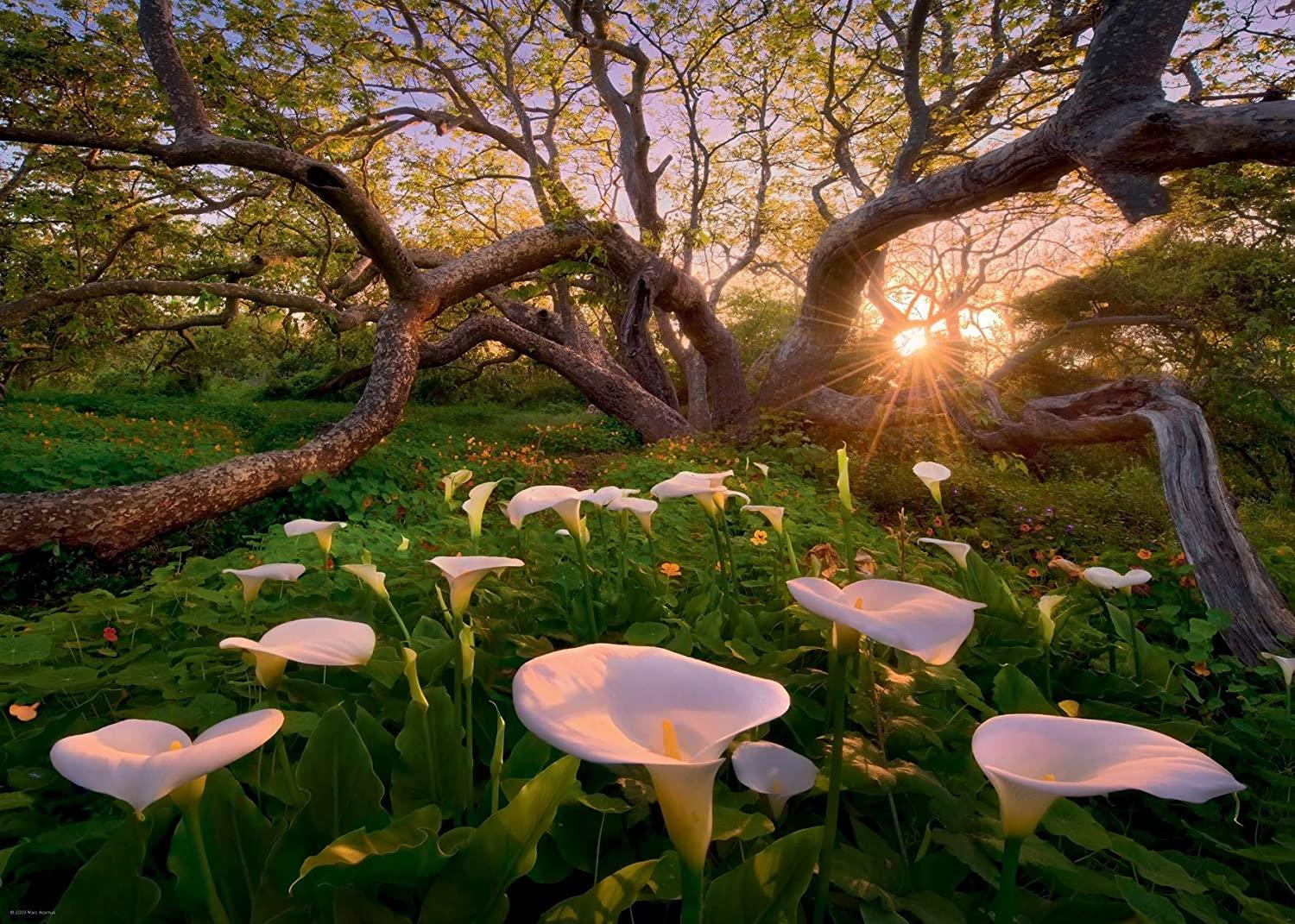 Heye Calla Clearing Jigsaw Puzzle (1000 Pieces)