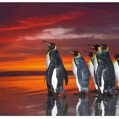 Heye Humboldt King Penguins Panorama Jigsaw Puzzle (1000 Pieces)