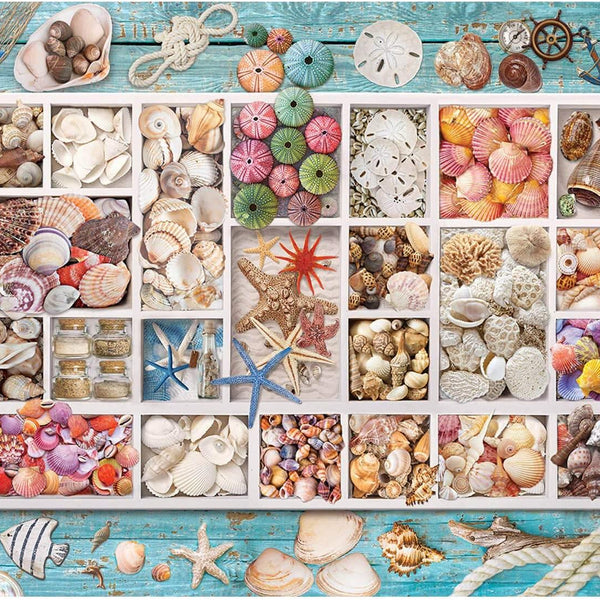 Eurographics Laura's Seashell Collection Jigsaw Puzzle (1000 Pieces)
