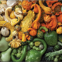 Galison Gourds Jigsaw Puzzle (1000 Pieces)