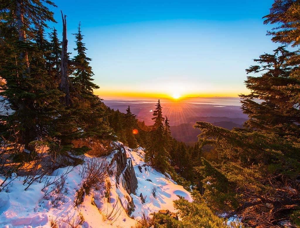 Sunset in the Snowy Forest Jigsaw Puzzle (1000 Pieces)