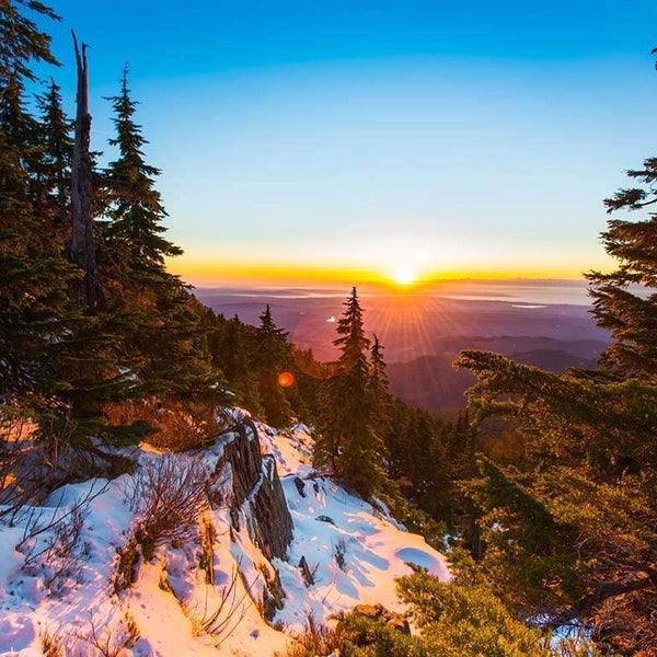 Sunset in the Snowy Forest Jigsaw Puzzle (1000 Pieces)