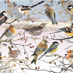 Otter House Winter Birds Jigsaw Puzzle (1000 Pieces)