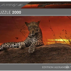 Heye Humboldt Red Dawn Panorama Jigsaw Puzzle (2000 Pieces)
